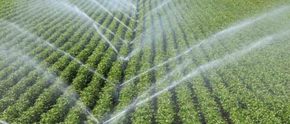 Tarım Yatırım Teşvikleri