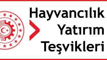 hayvancılık yatırım teşvikleri