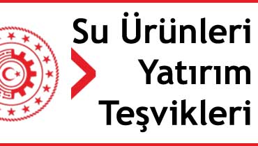 balıkçılık yatırım teşvikleri